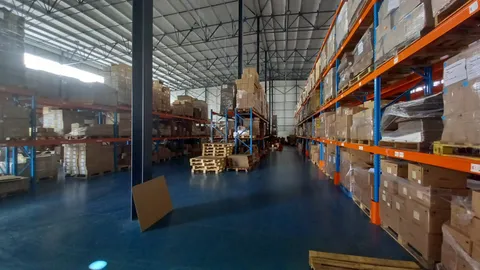 WhatsApp Image 2024-11-27 at 08.05.31_ffd5964b